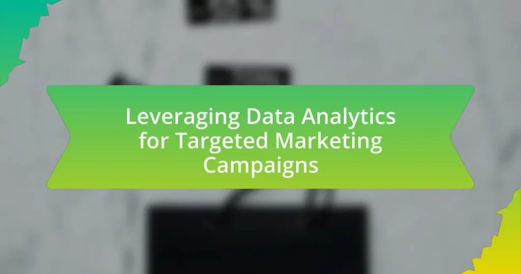 Leveraging Data Analytics for Targeted Marketing Campaigns