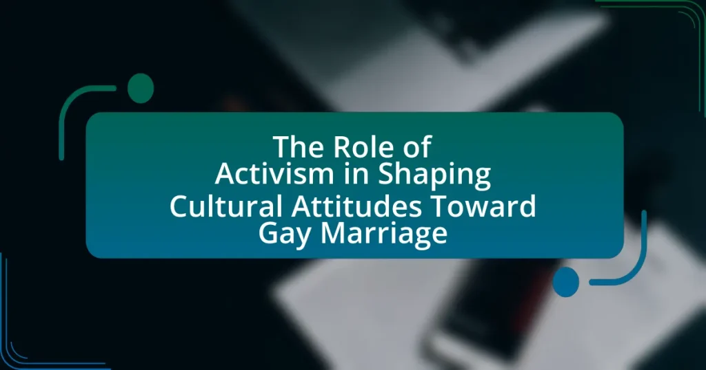 The Role of Activism in Shaping Cultural Attitudes Toward Gay Marriage
