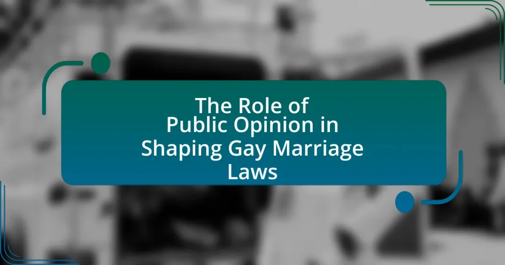 The Role of Public Opinion in Shaping Gay Marriage Laws