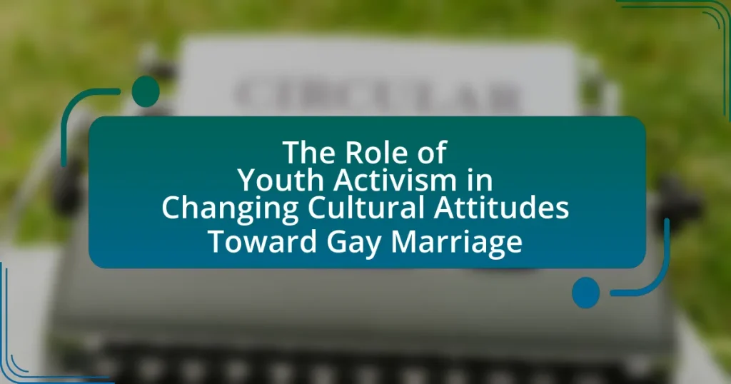 The Role of Youth Activism in Changing Cultural Attitudes Toward Gay Marriage