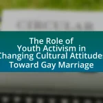The Role of Youth Activism in Changing Cultural Attitudes Toward Gay Marriage