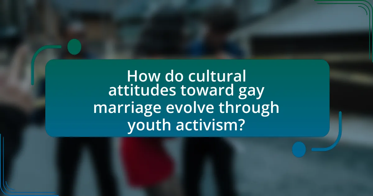 How do cultural attitudes toward gay marriage evolve through youth activism?