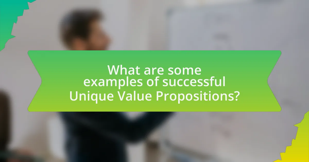 What are some examples of successful Unique Value Propositions?
