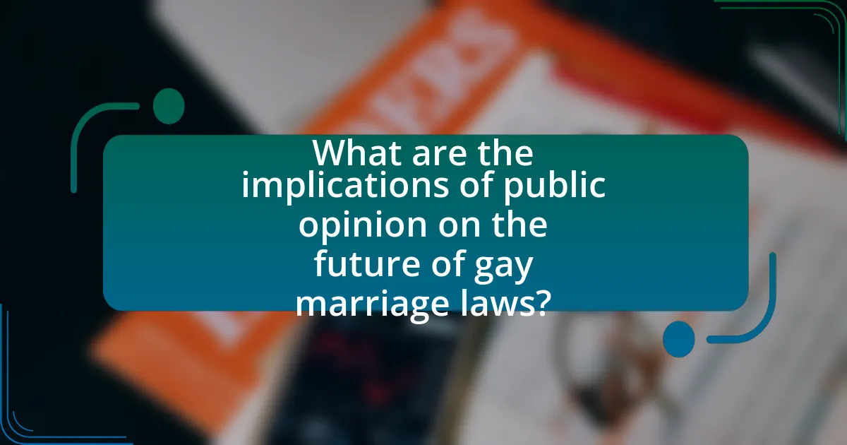 What are the implications of public opinion on the future of gay marriage laws?