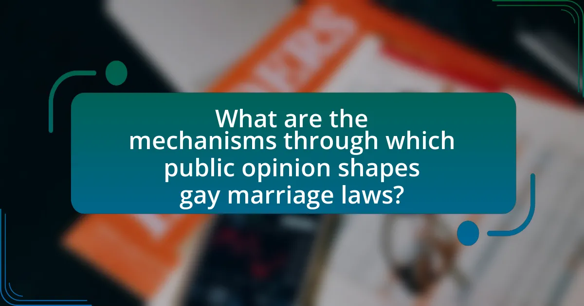 What are the mechanisms through which public opinion shapes gay marriage laws?