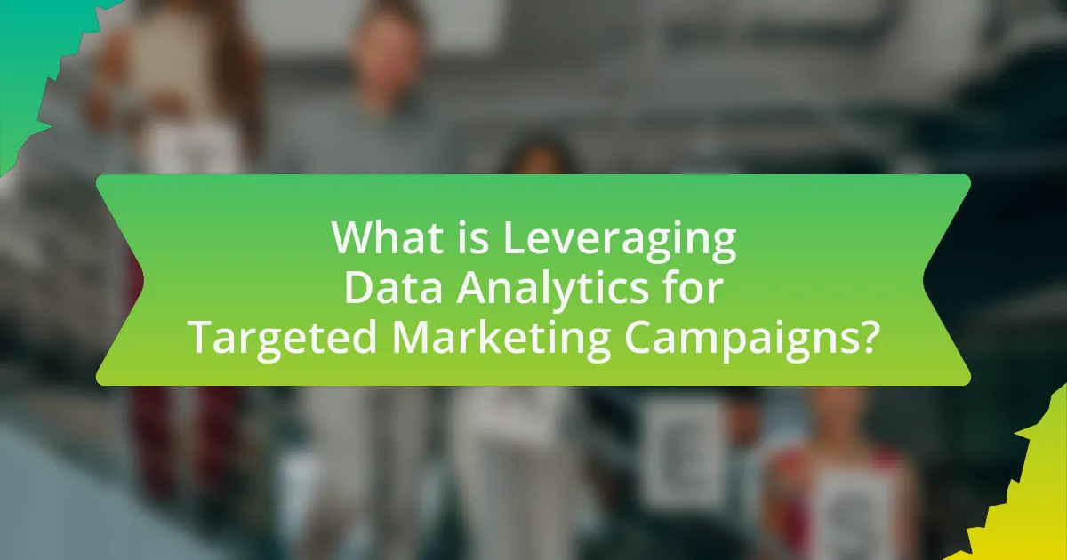 What is Leveraging Data Analytics for Targeted Marketing Campaigns?