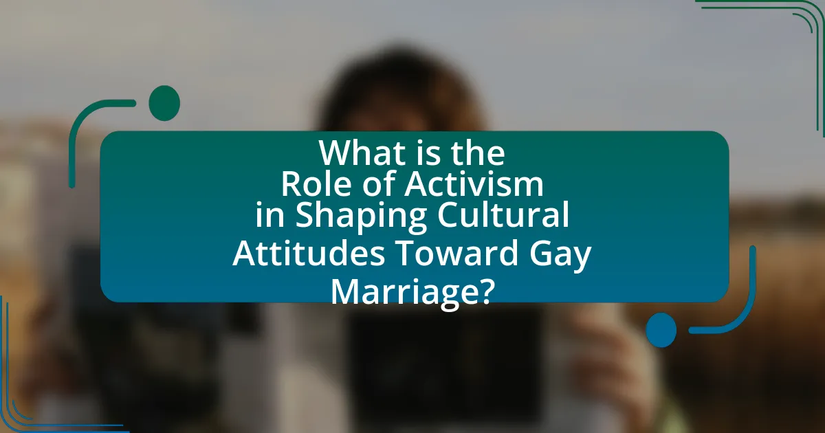 What is the Role of Activism in Shaping Cultural Attitudes Toward Gay Marriage?