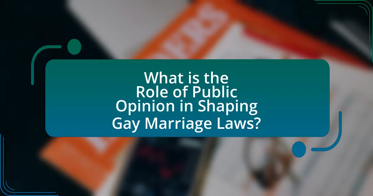 What is the Role of Public Opinion in Shaping Gay Marriage Laws?