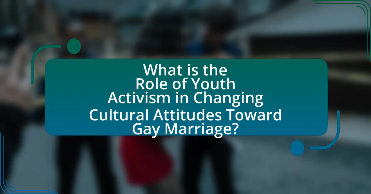 What is the Role of Youth Activism in Changing Cultural Attitudes Toward Gay Marriage?