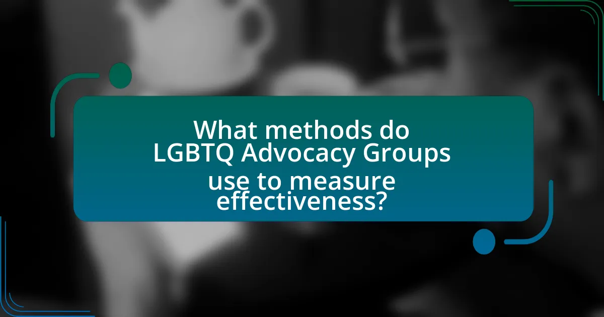 What methods do LGBTQ Advocacy Groups use to measure effectiveness?